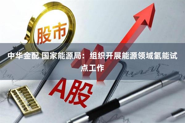 中华金配 国家能源局：组织开展能源领域氢能试点工作