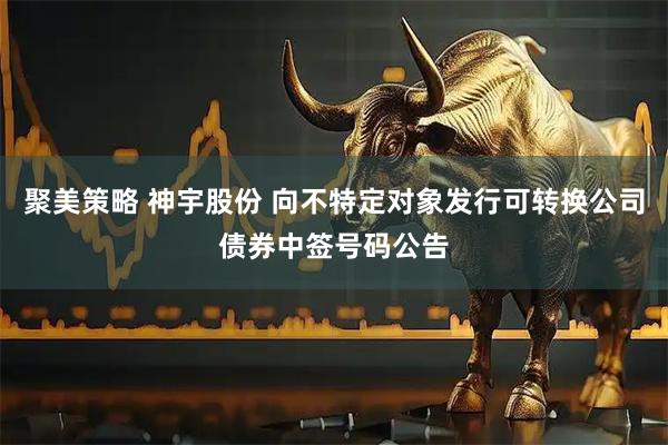 聚美策略 神宇股份 向不特定对象发行可转换公司债券中签号码公告