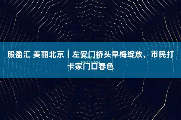 股盈汇 美丽北京｜左安门桥头早梅绽放，市民打卡家门口春色