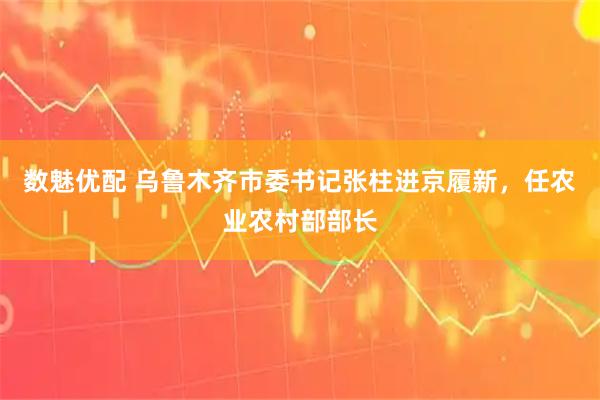 数魅优配 乌鲁木齐市委书记张柱进京履新，任农业农村部部长